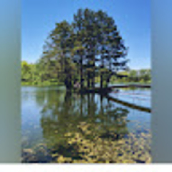 homesteadmike04
